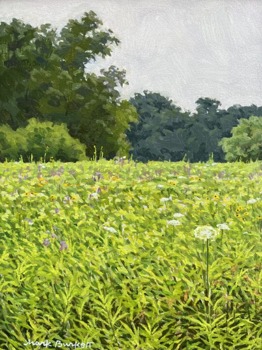 Prairie Conservation