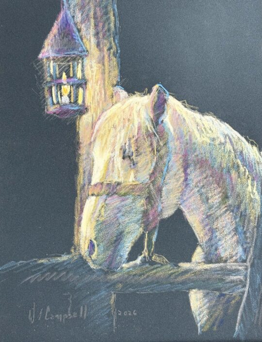 Drawn to the Light