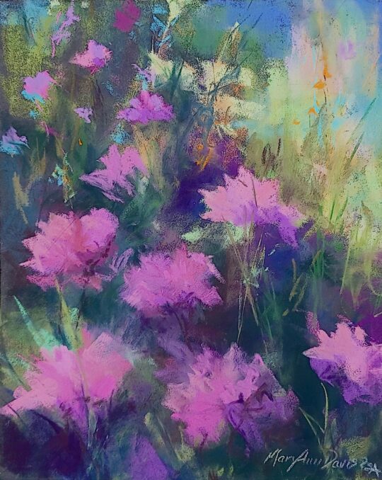 Garden Pinks