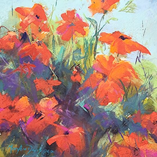 Poppies in the Garden