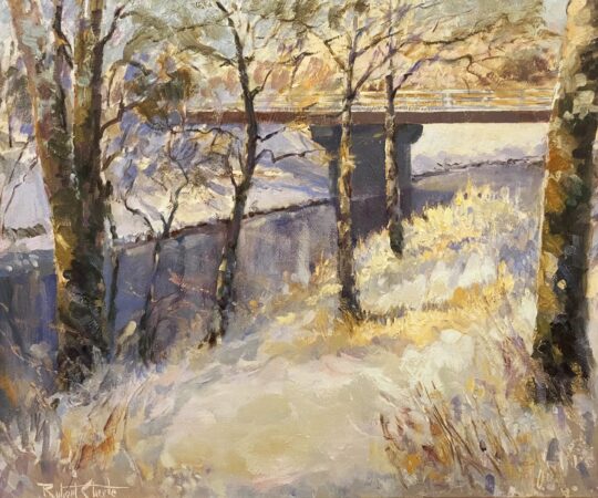 Snowy Day - White River