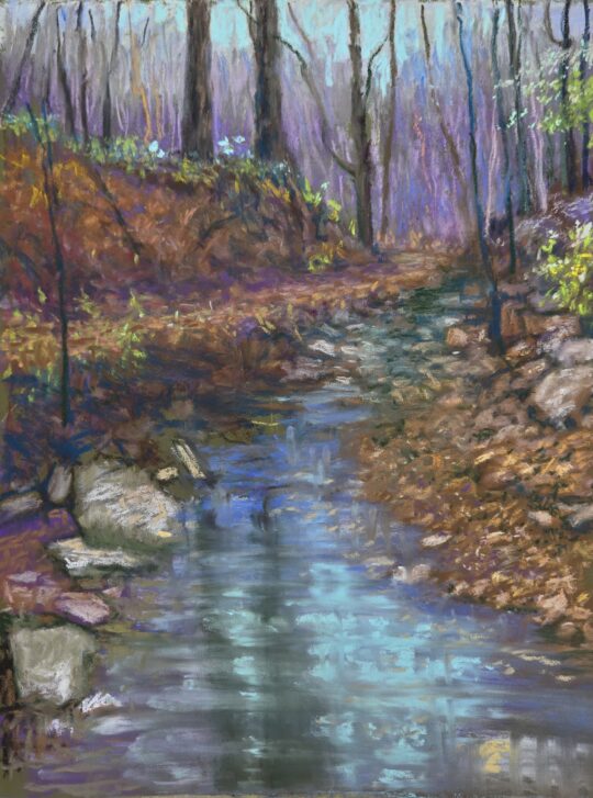 Early Spring Reflections