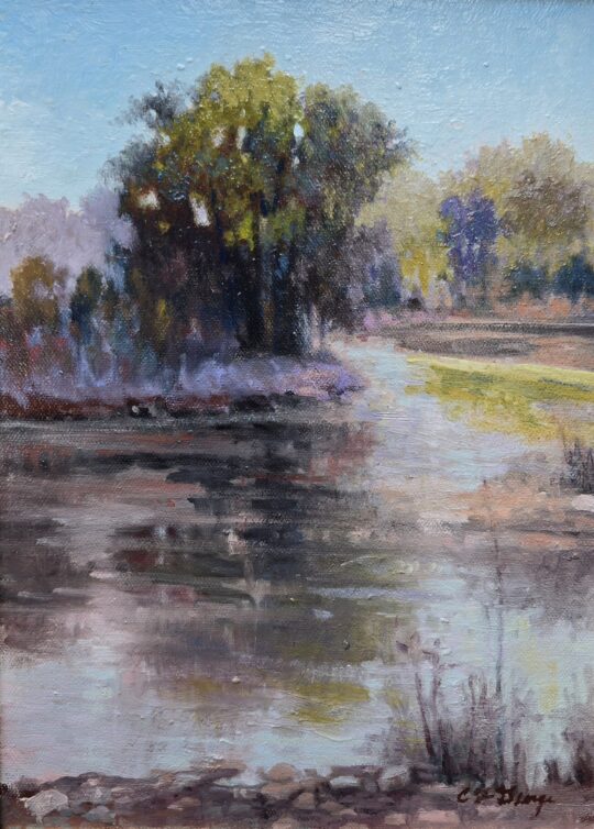 River Reflections