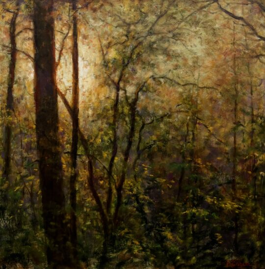 Forest Cathedral