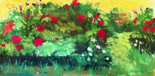 New Harmony Peonies