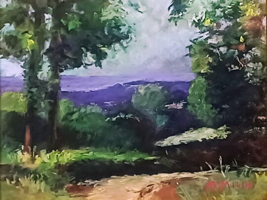 Brown County Summer