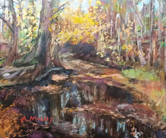 Greasy Creek Autumn