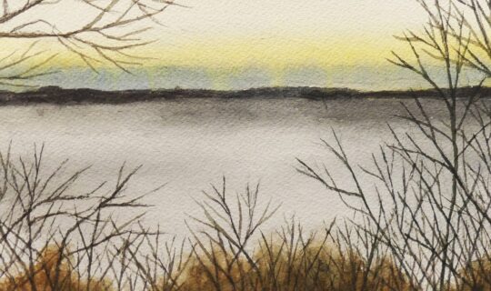 Foggy Hill