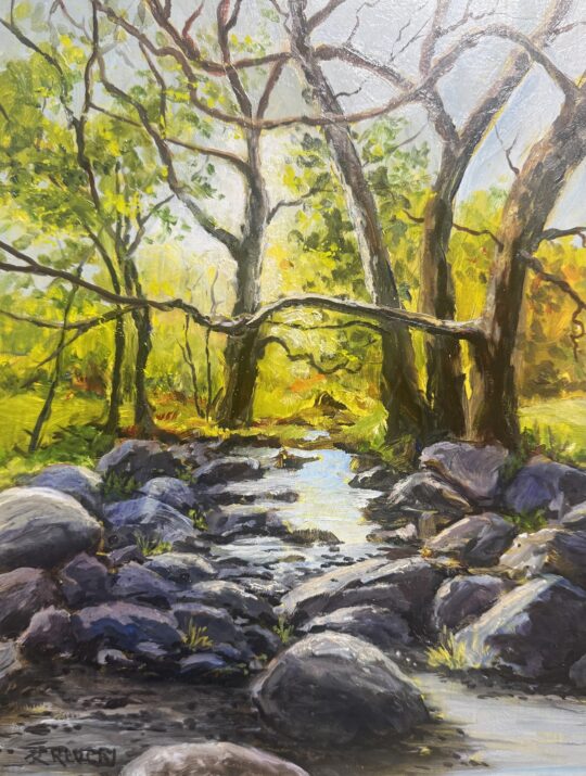 The Creek