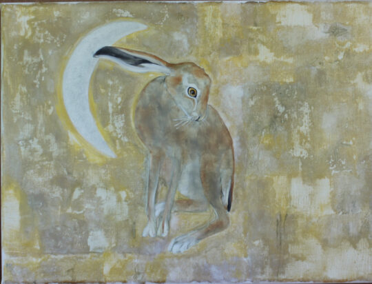 The Moon Loved the Hare