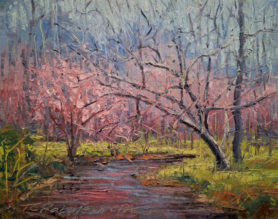 Kelp Valley Spring