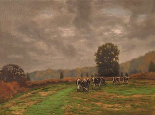 Brown County Pastoral