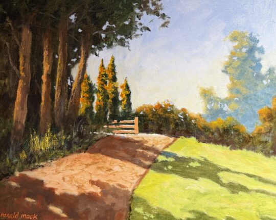 Evening Light