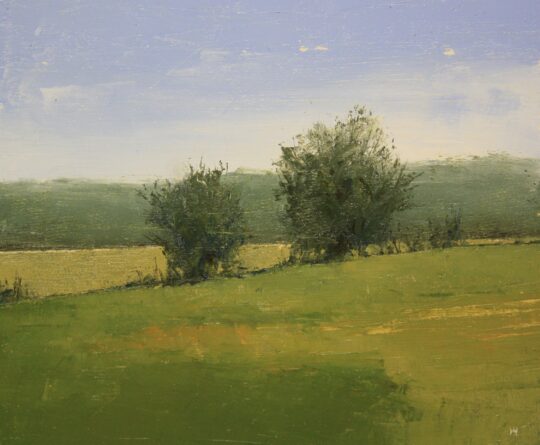 Trees on a Hill