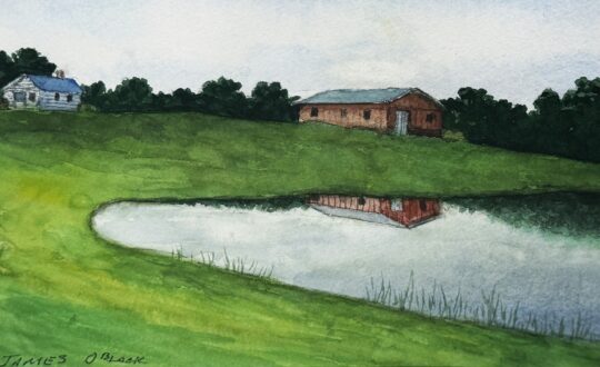 Pond View