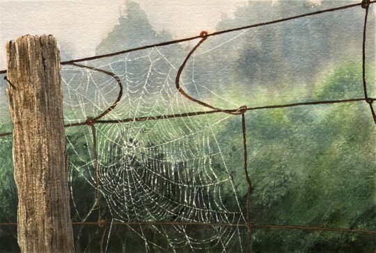 Misty Morning