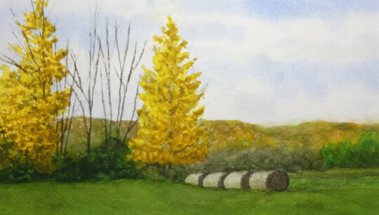 Hay, Autumn